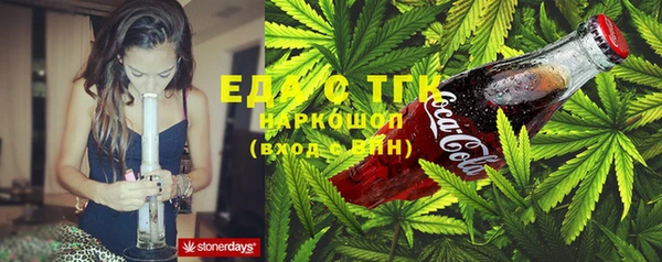 хмурый Сосновый Бор